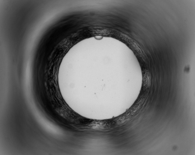 X0000103320764200810171401