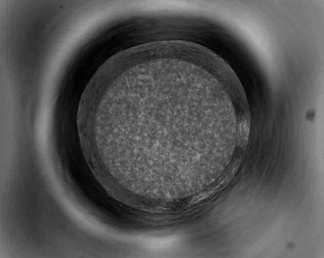 X0000103320765200810171401