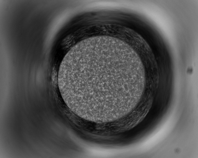 X0000103320766200810171401