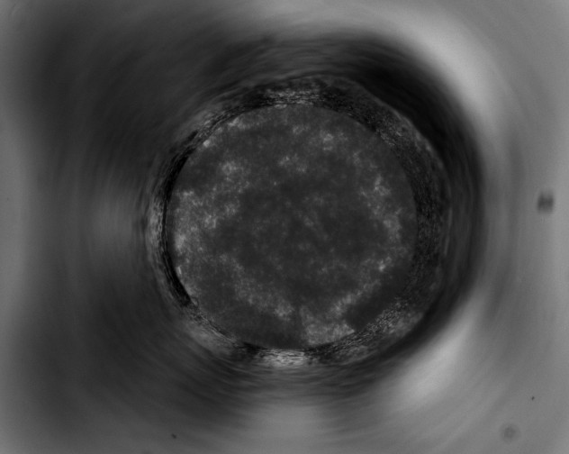 X0000103320767200810171401
