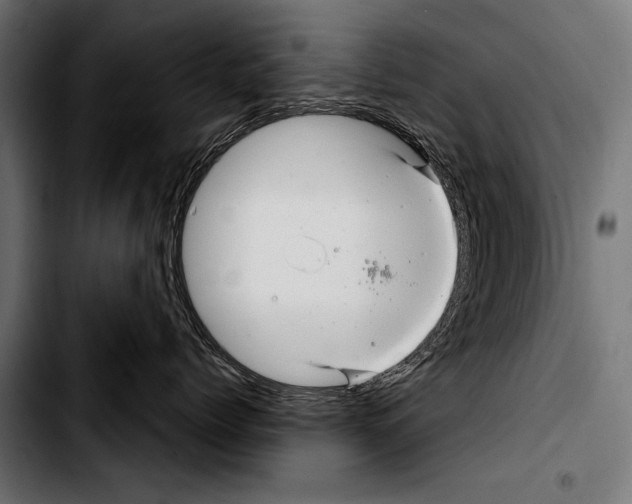 X0000103320768200810171401