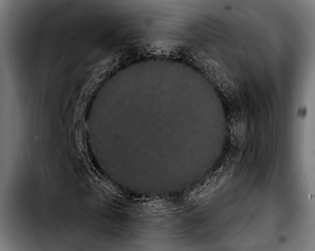 X0000103320769200810171400