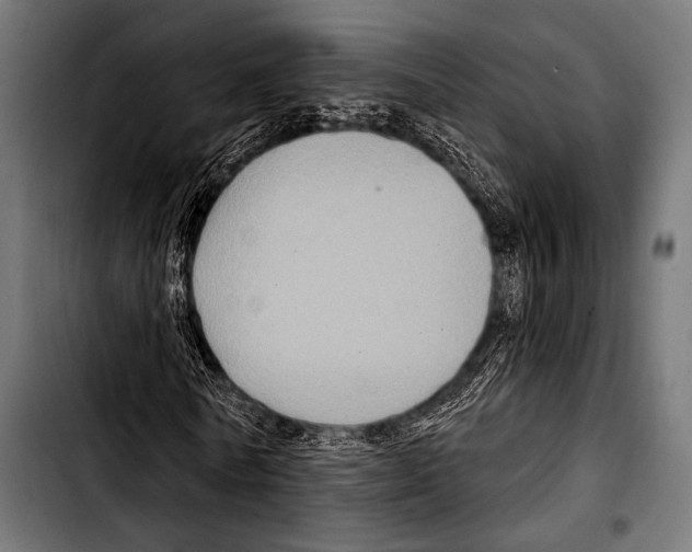 X0000103320770200810171400