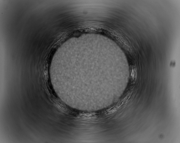 X0000103320771200810171400
