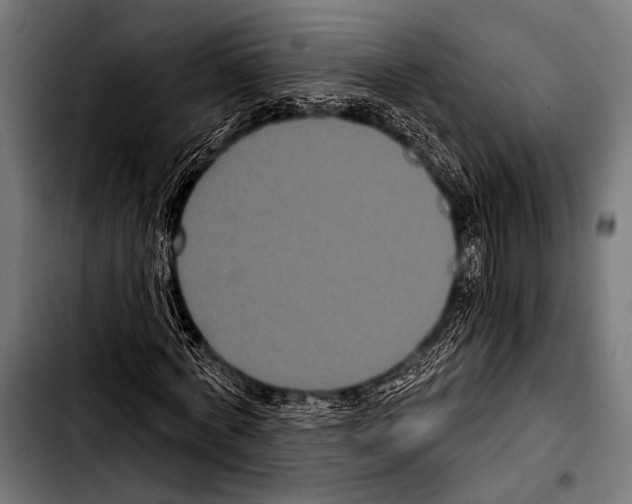 X0000103320772200810171400