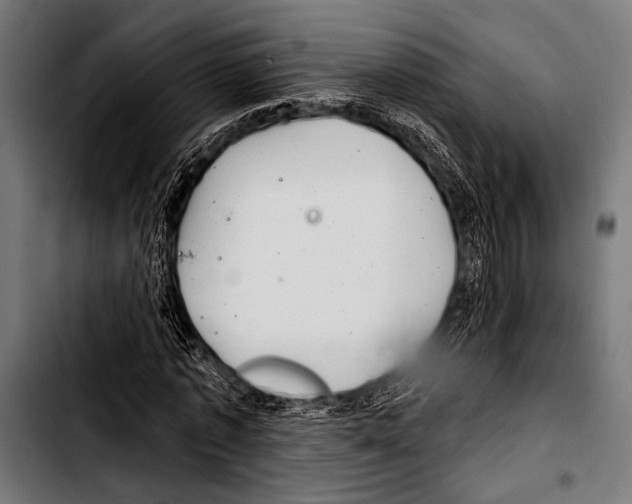 X0000103320773200810171400