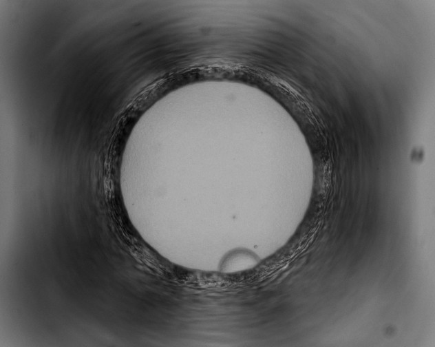 X0000103320774200810171400