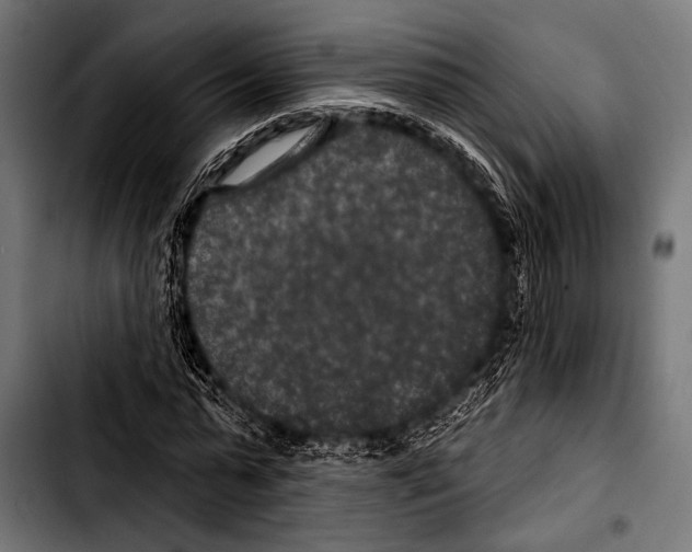 X0000103320775200810171400