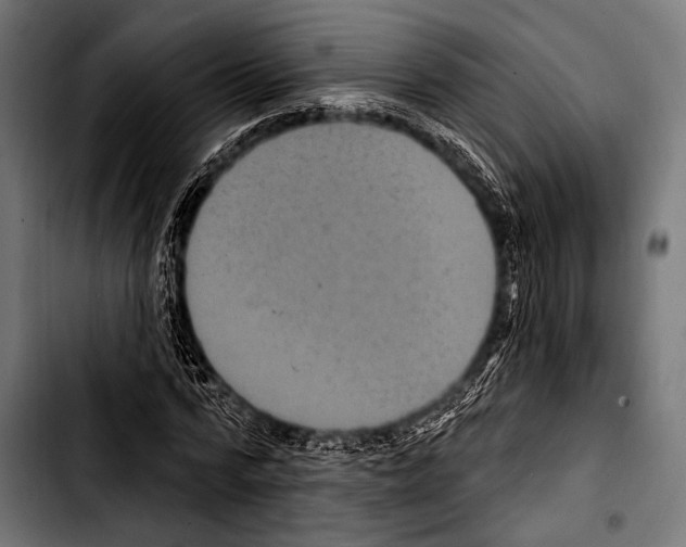 X0000103320776200810171400