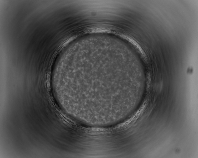 X0000103320777200810171400