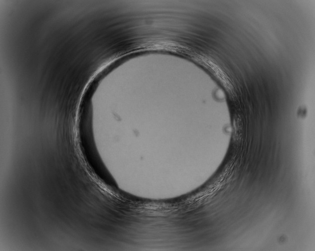 X0000103320780200810171400