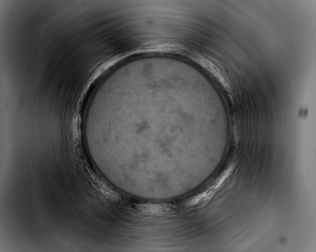 X0000103320781200810171400