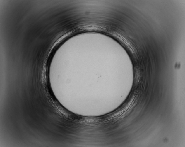X0000103320782200810171400