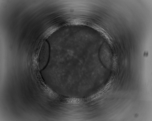 X0000103320785200810171400