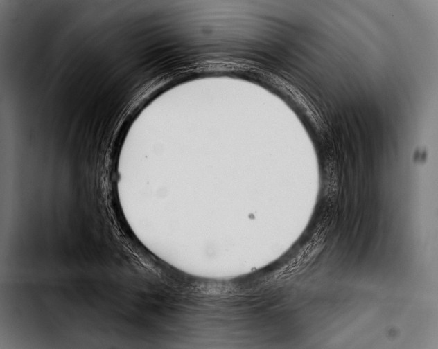 X0000103320786200810171400