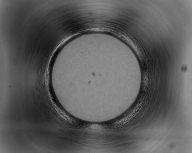X0000103320787200810171400