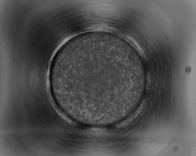 X0000103320788200810171400