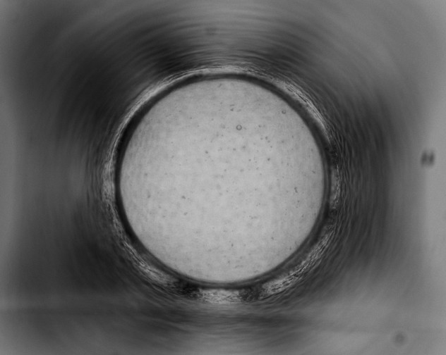 X0000103320789200810171400