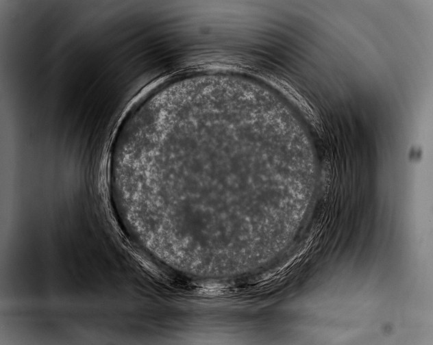 X0000103320790200810171400