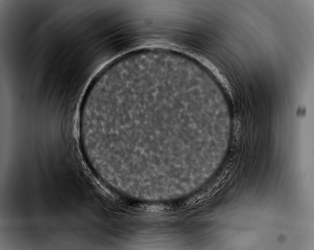 X0000103320791200810171400