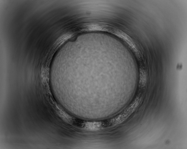 X0000103320793200810171400