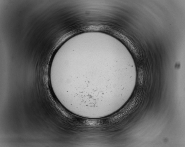 X0000103320794200810171400