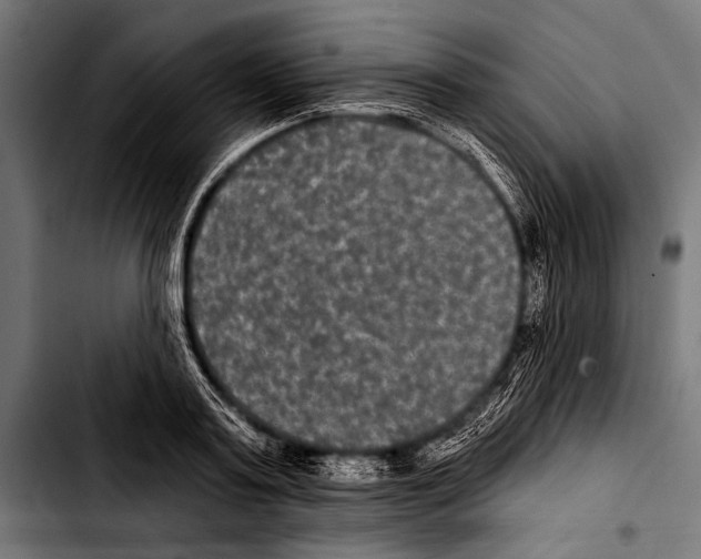 X0000103320795200810171400
