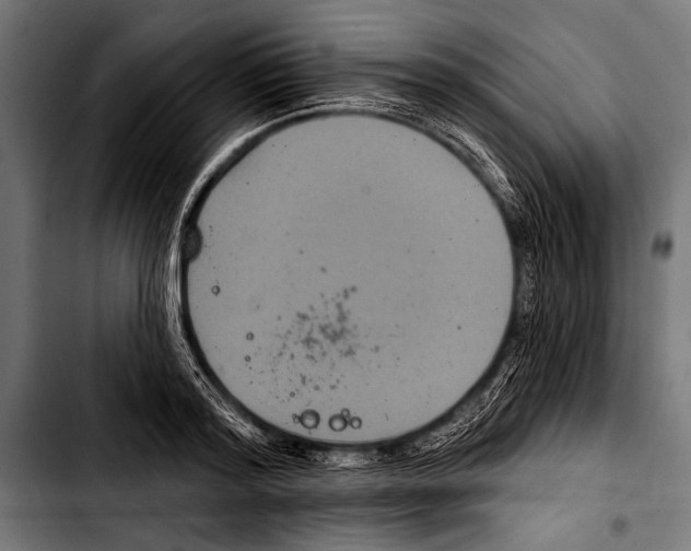 X0000103320796200810171400