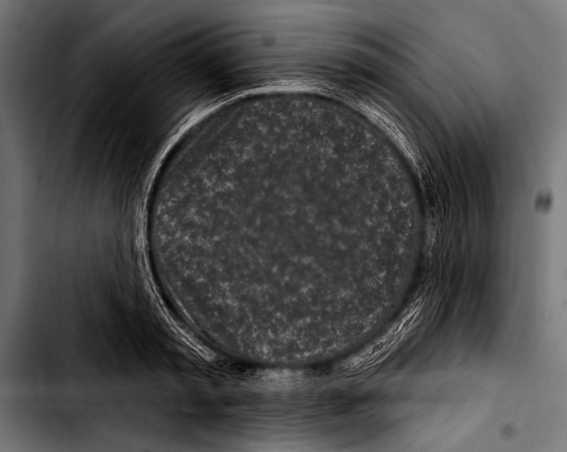 X0000103320797200810171400