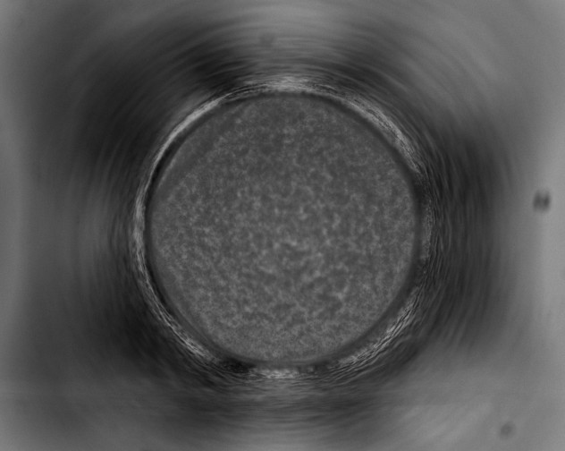 X0000103320798200810171400