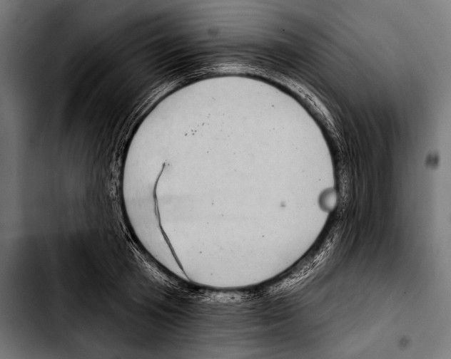 X0000103320801200810171400