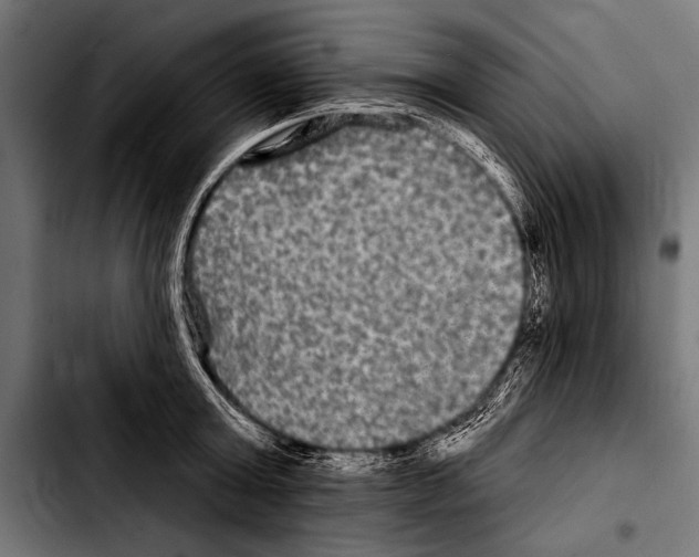 X0000103320803200810171400