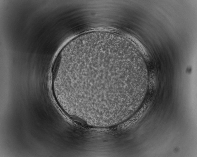 X0000103320804200810171400