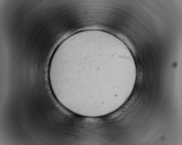 X0000103320805200810171400