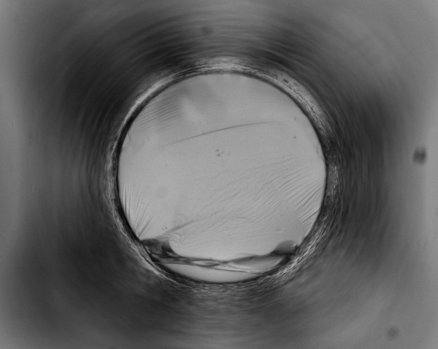 X0000103320806200810171400