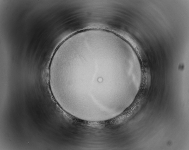 X0000103320807200810171400
