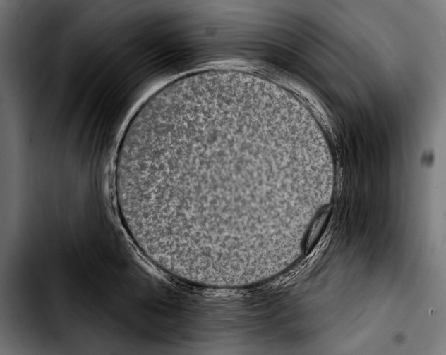 X0000103320808200810171400