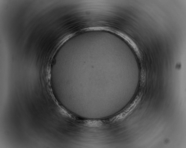 X0000103320809200810171400