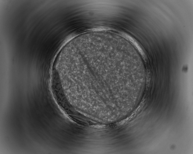 X0000103320810200810171400