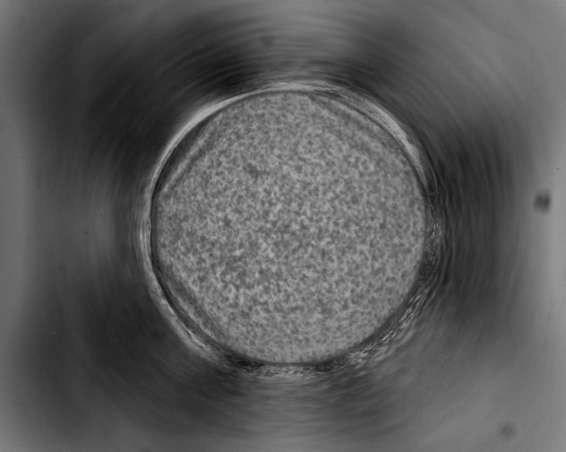 X0000103320811200810171400