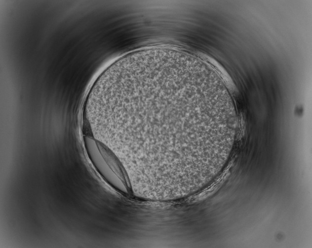 X0000103320812200810171400