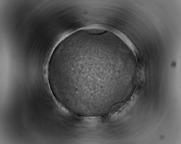 X0000103320813200810171400