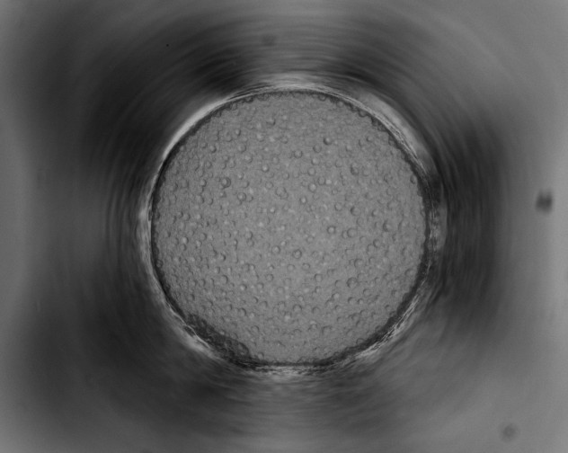 X0000103320814200810171400