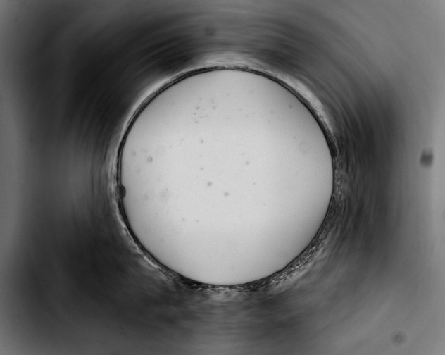 X0000103320815200810171400