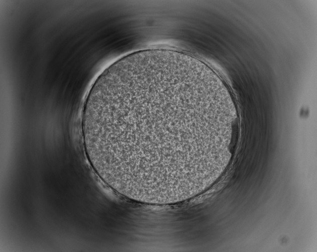 X0000103320816200810171400