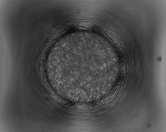 X0000103320817200810171359