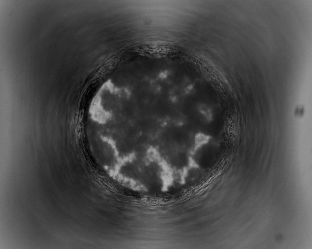 X0000103320818200810171359