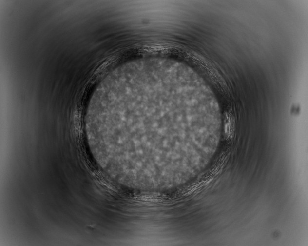 X0000103320819200810171359