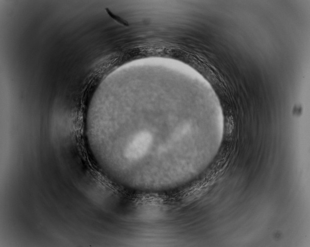 X0000103320820200810171359