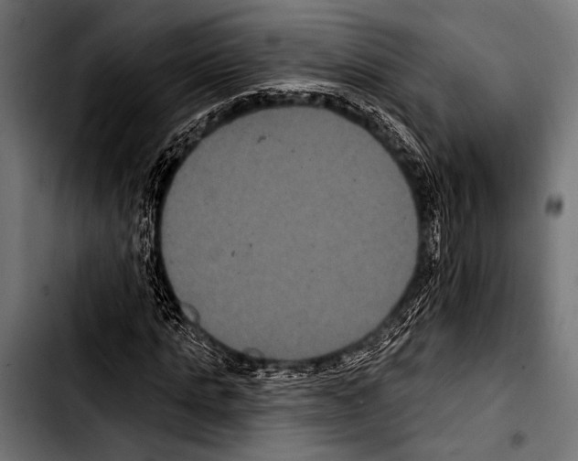 X0000103320821200810171359